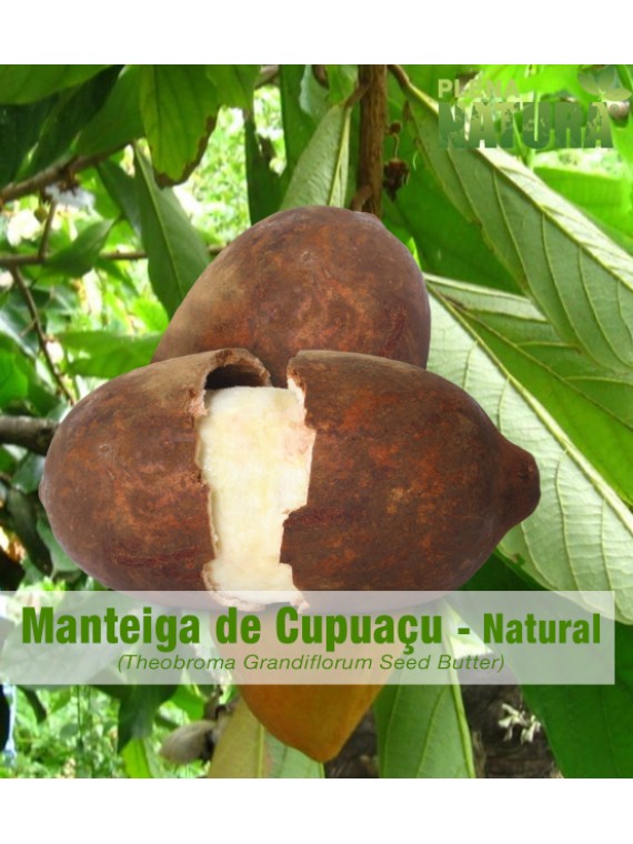 Manteiga de Cupuaçu - Natural