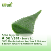 Aloe Vera - Sumo 1:1