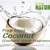 Coconut - Cosmetic Grade Fragrance Oil
