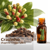 Cravinho  - Óleo Essencial