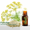 Funcho  - Óleo Essencial