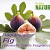 Fig - Cosmetic Grade Fragrance Oil