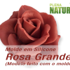 Molde em Silicone - Rosa Grande