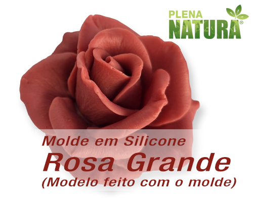 Molde em Silicone - Rosa Grande